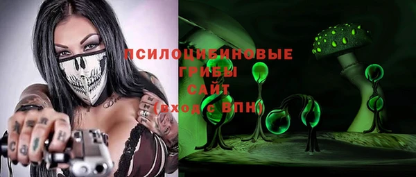 spice Белокуриха