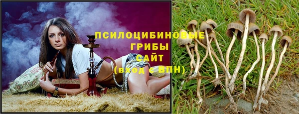spice Белокуриха