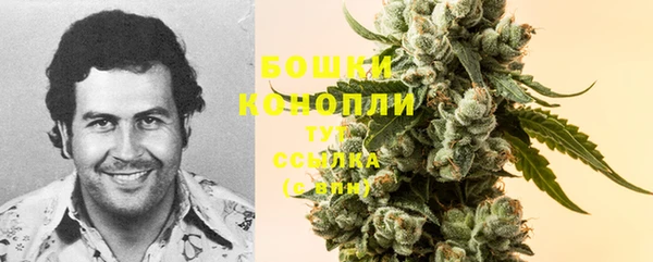 spice Белокуриха