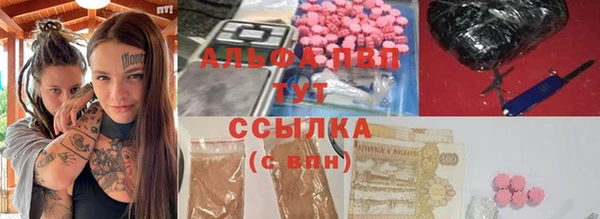 spice Белокуриха
