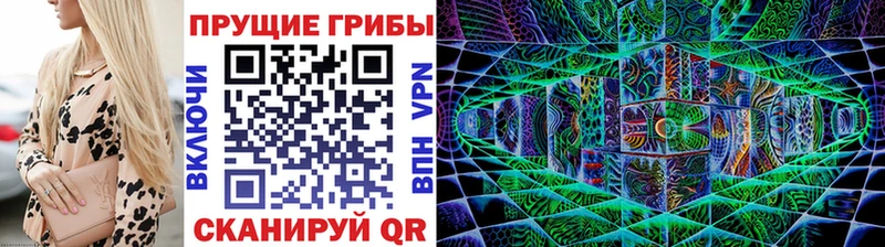 цены наркотик Новая Усмань Галлюциногенные грибы Psilocybe