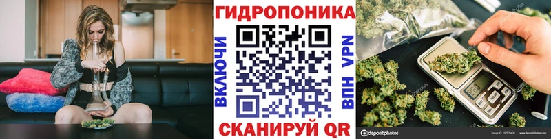 Бошки Шишки ГИДРОПОН darknet как зайти Новая Усмань